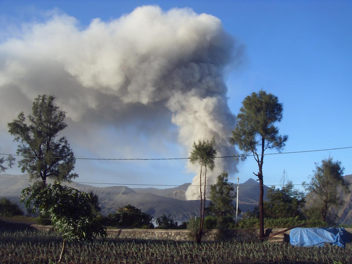 Cahyo Homestay Bromo Dış mekan fotoğraf
