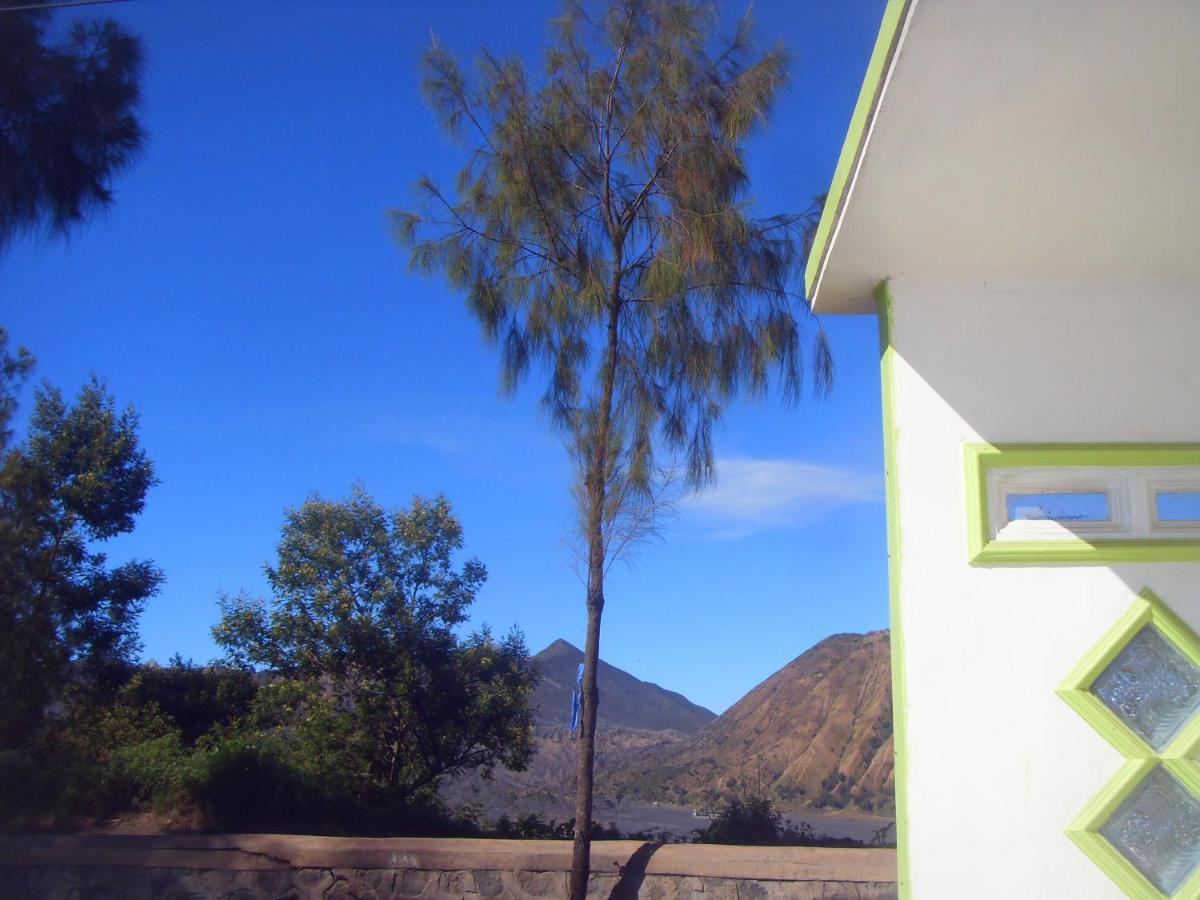 Cahyo Homestay Bromo Dış mekan fotoğraf